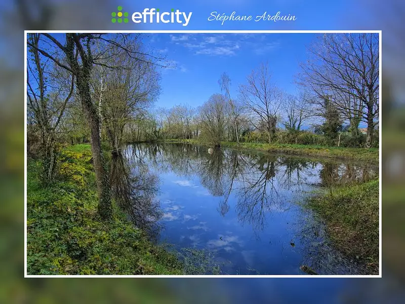 Étang d'agrément à Vallet — photo 2