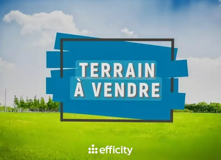 Étang d'agrément à Vallet — photo 3