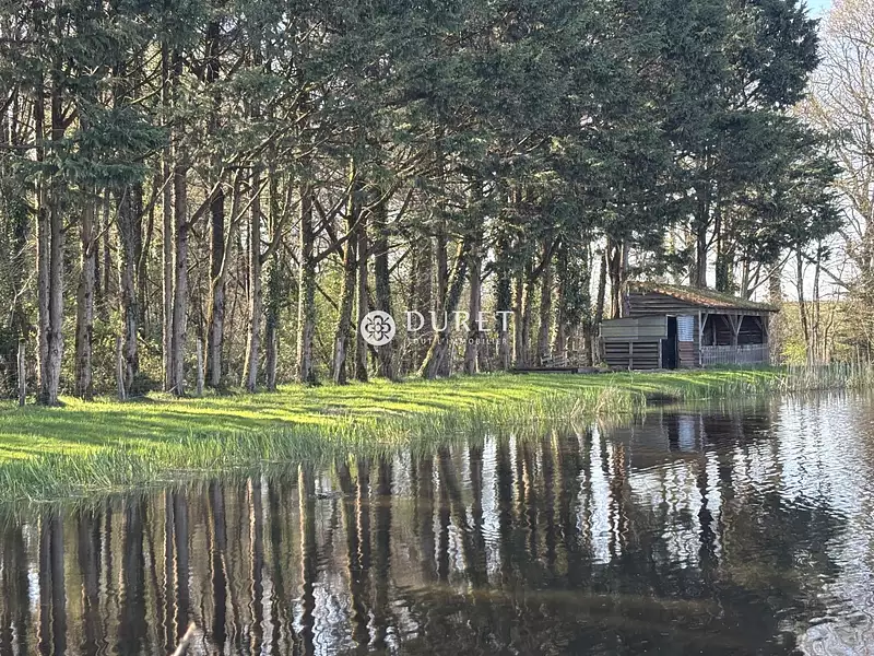 Étang de pêche à Montrevault-sur-Èvre — photo 3