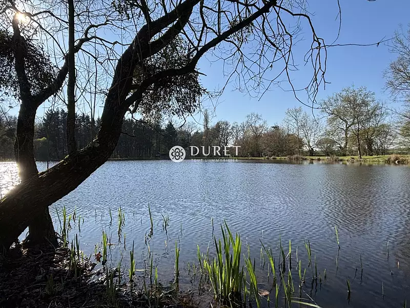Fishing lake, 0.65 ha in the Loire Valley, Maine-et-Loire — photo 5