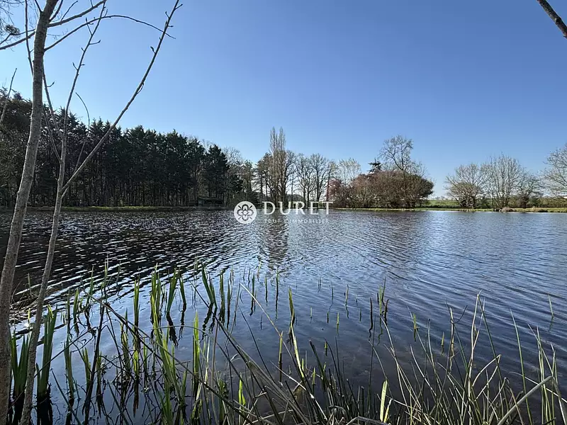 Étang de pêche à Montrevault-sur-Èvre — photo 2