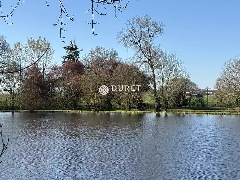 Étang de pêche à Montrevault-sur-Èvre