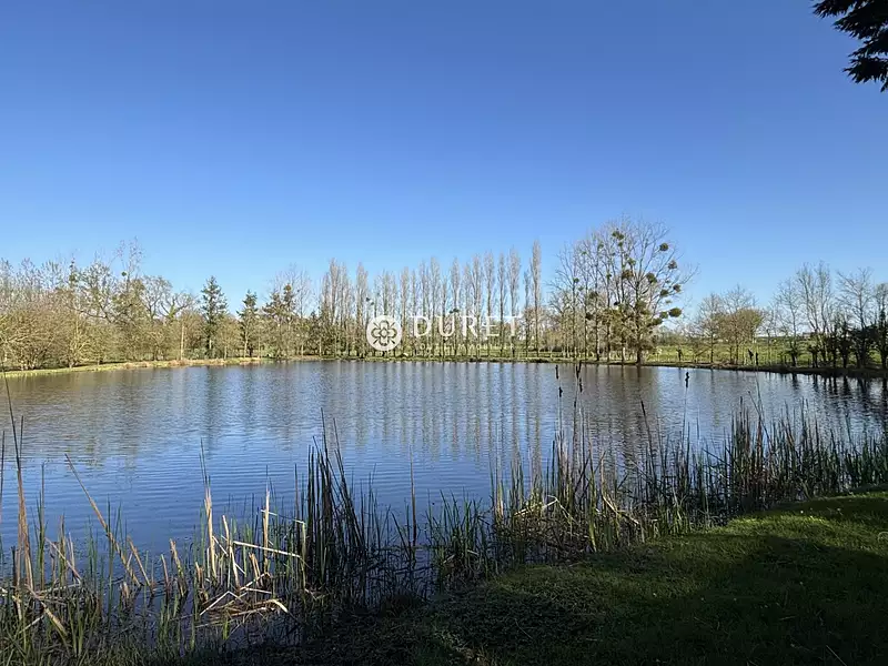 Étang de pêche à Montrevault-sur-Èvre — photo 4