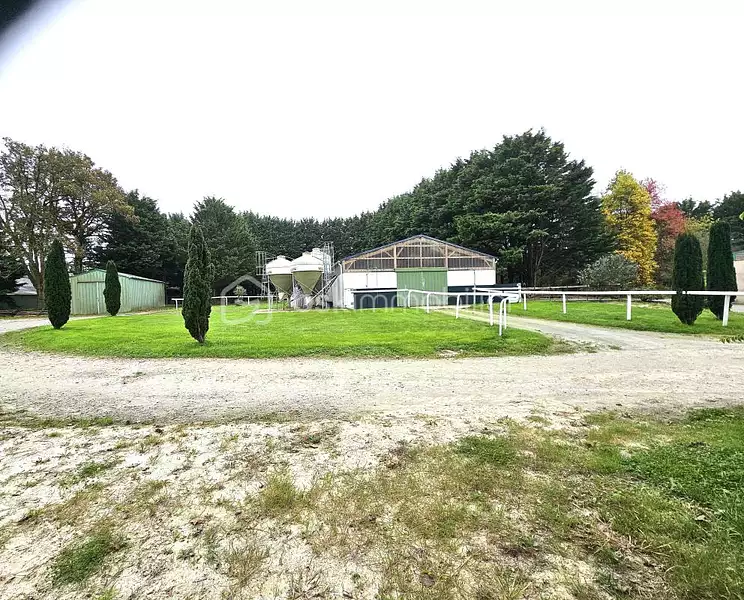 Étang d'agrément à Nozay — photo 3