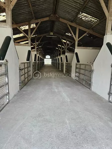 Étang d'agrément à Nozay — photo 2