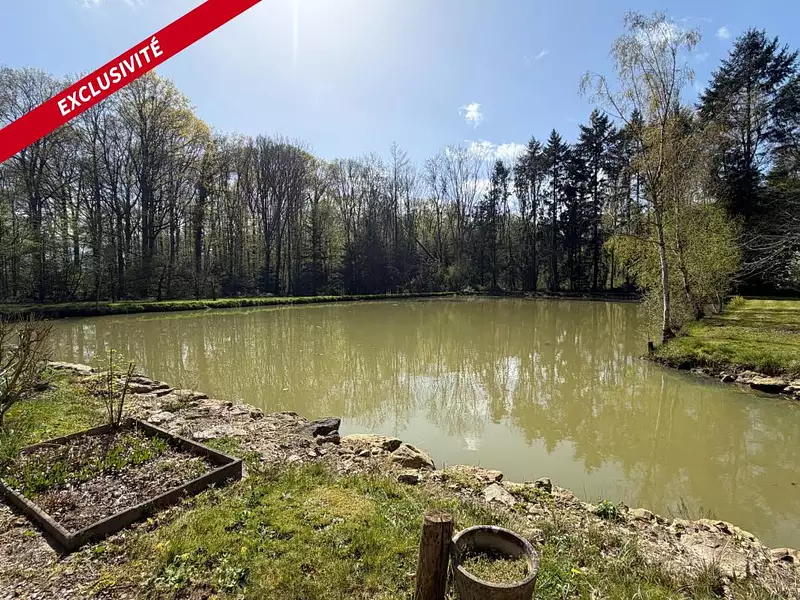Étang d'agrément à Saint-Cosme-en-Vairais — photo 3