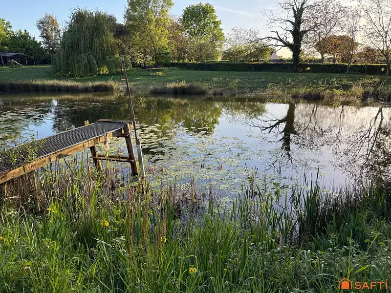 Étang d'agrément à Le Lion-d'Angers — photo 3