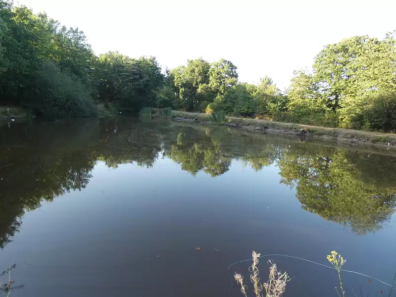 Étang de pêche à Nuillé-le-Jalais