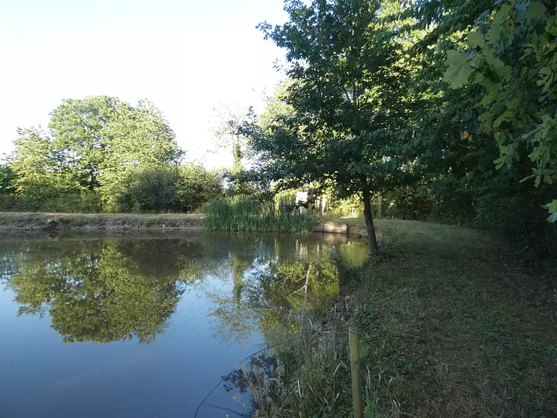 Étang de pêche à Nuillé-le-Jalais — photo 3