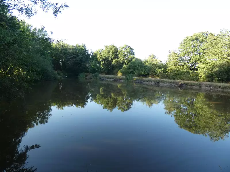 Étang de pêche à Nuillé-le-Jalais — photo 2