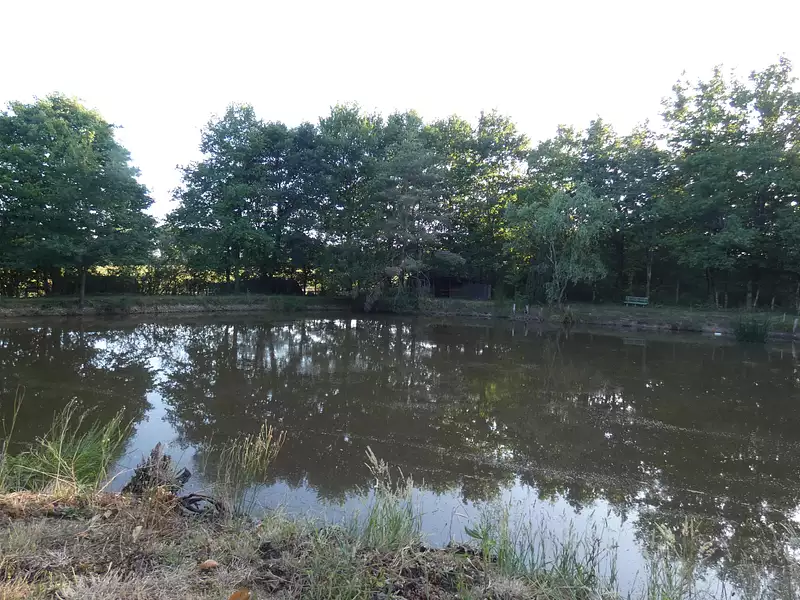 Étang de pêche à Nuillé-le-Jalais — photo 4