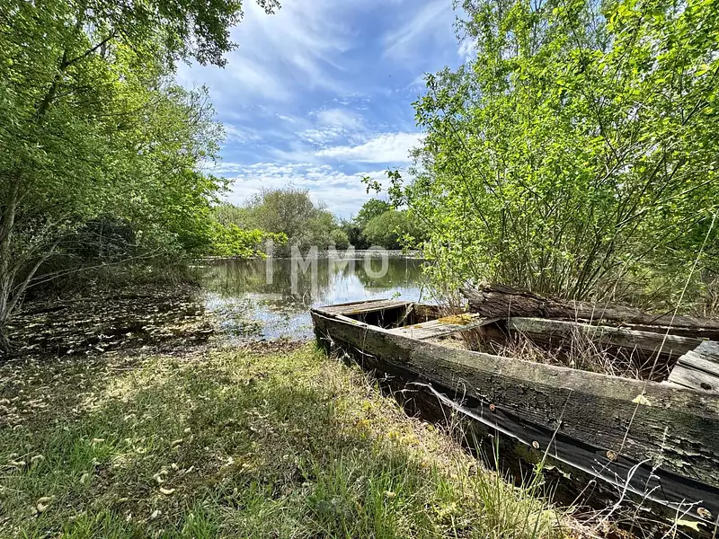 Étang d'agrément à Dissay-sous-Courcillon — photo 3