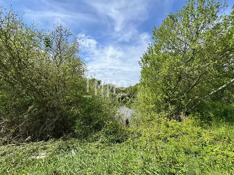 Étang d'agrément à Dissay-sous-Courcillon — photo 4