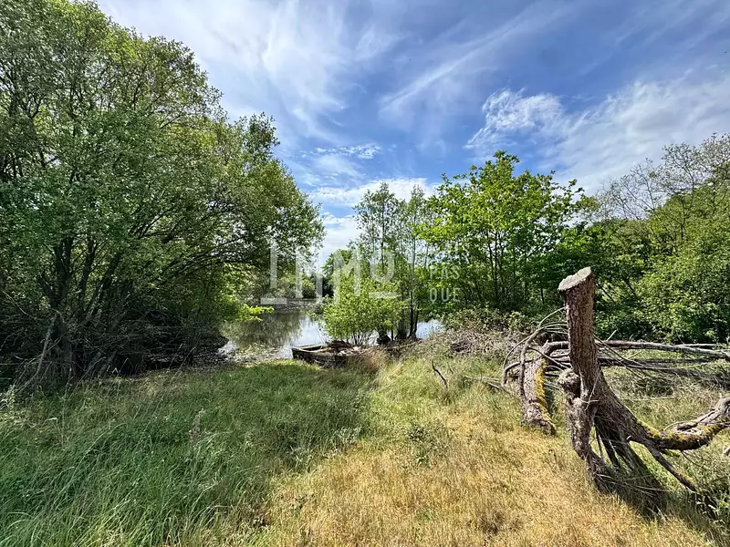 Étang d'agrément à Dissay-sous-Courcillon — photo 2