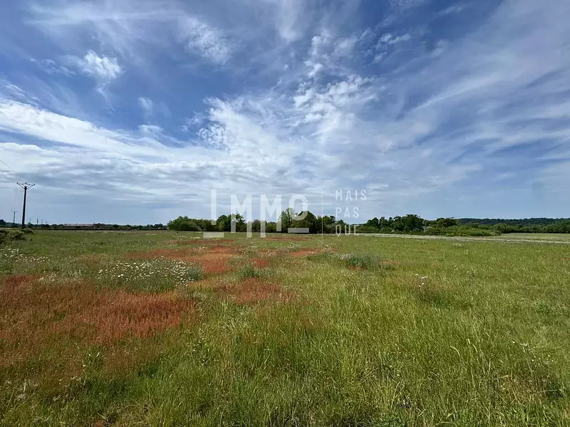 Étang d'agrément à Dissay-sous-Courcillon — photo 2
