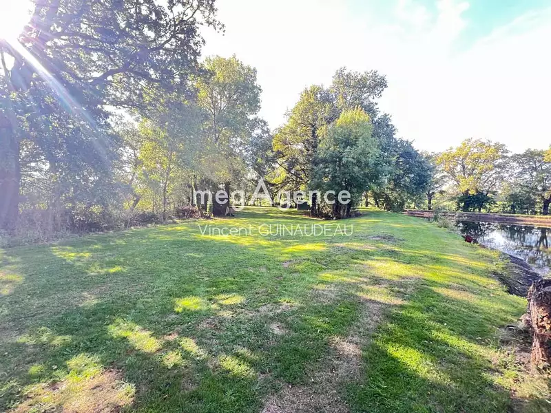 Étang d'agrément à Maulévrier — photo 2