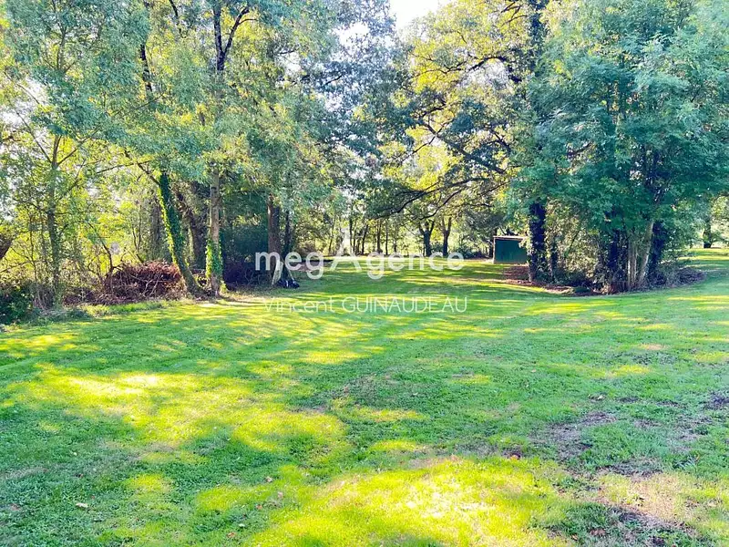 Étang d'agrément à Maulévrier — photo 4