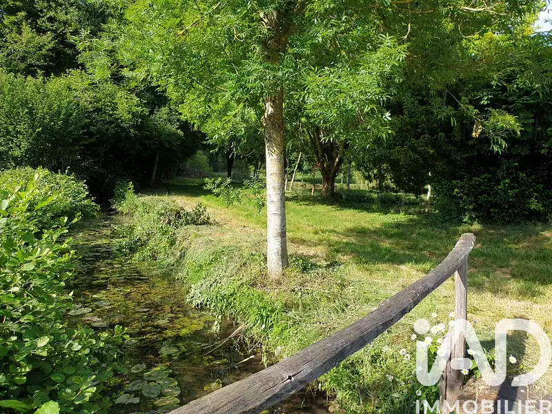 Étang de pêche de 1,18 ha à Montreuil-le-Henri — photo 2