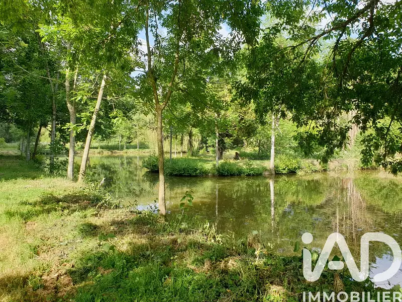 Étang de pêche de 1,18 ha à Montreuil-le-Henri — photo 5