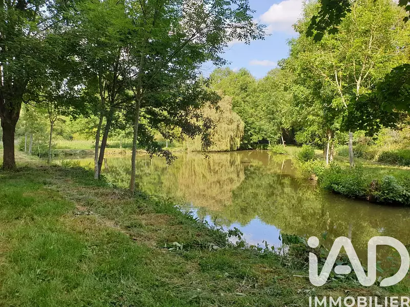 Étang de pêche de 1,18 ha à Montreuil-le-Henri — photo 3