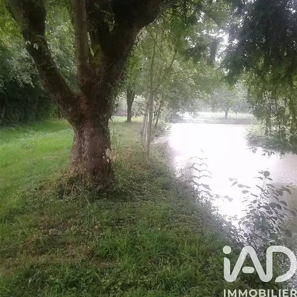 Étang de pêche de 1,18 ha à Montreuil-le-Henri — photo 4