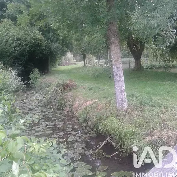 Étang de pêche de 1,18 ha à Montreuil-le-Henri — photo 4