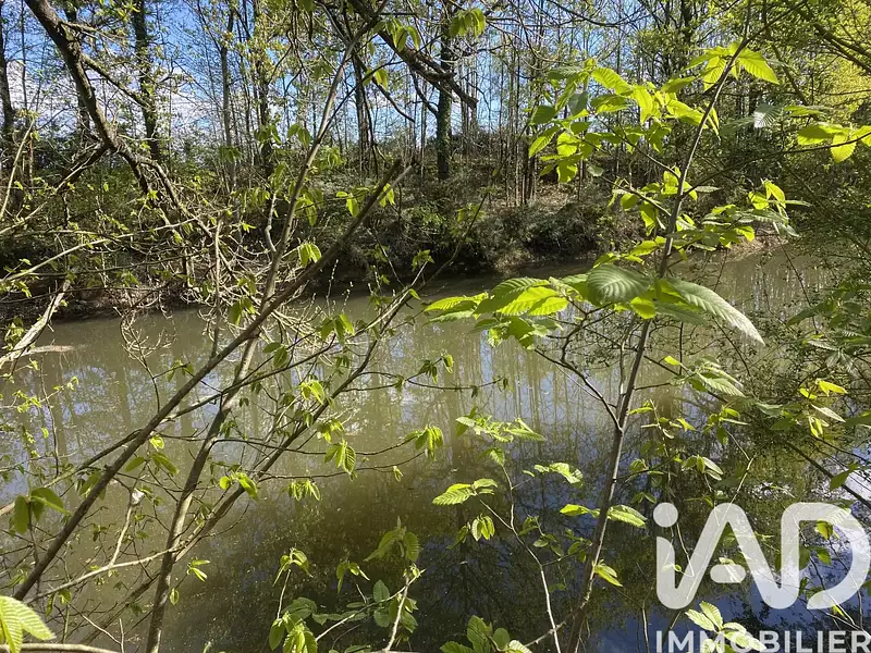 Étang de pêche à Montrevault-sur-Èvre — photo 4