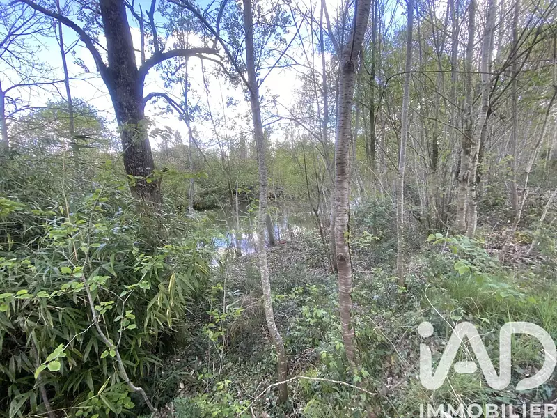Étang de pêche à Montrevault-sur-Èvre — photo 3
