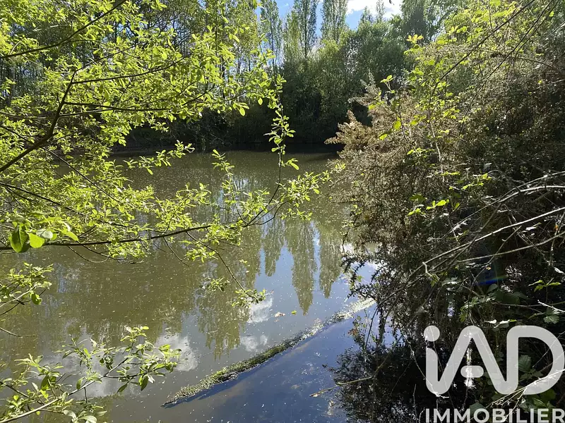 Étang de pêche à Montrevault-sur-Èvre — photo 2