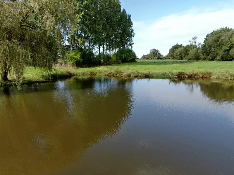 Étang de pêche à Ancenis-Saint-Géréon — photo 5
