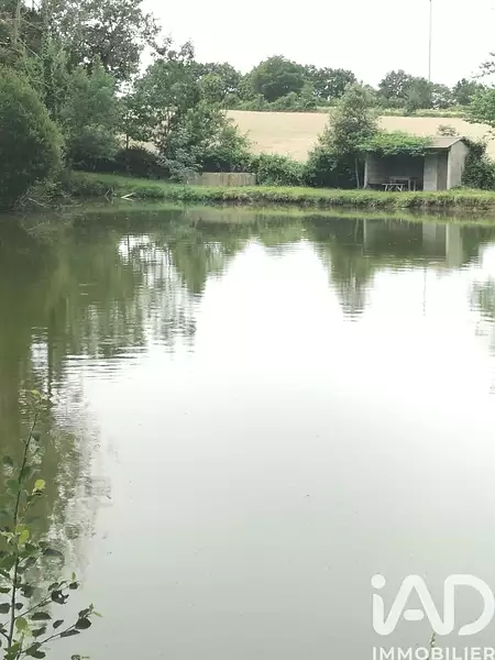 Étang de pêche de 1 ha à Saint-Etienne-du-Bois — photo 3