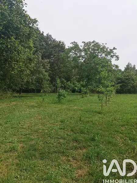 Étang de pêche de 1 ha à Saint-Etienne-du-Bois — photo 4