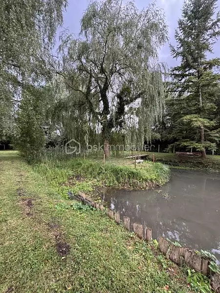 Étang de pêche à Le Grand-Lucé — photo 4