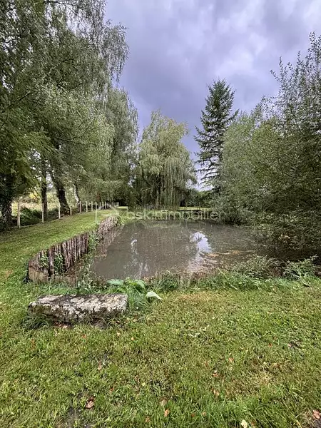Étang de pêche à Le Grand-Lucé — photo 2