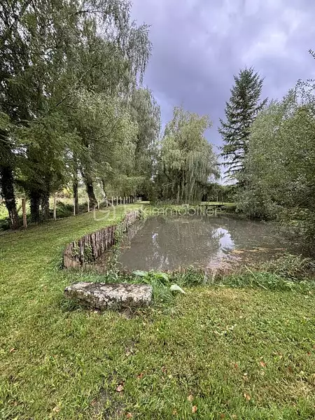 Étang de pêche à Le Grand-Lucé — photo 3