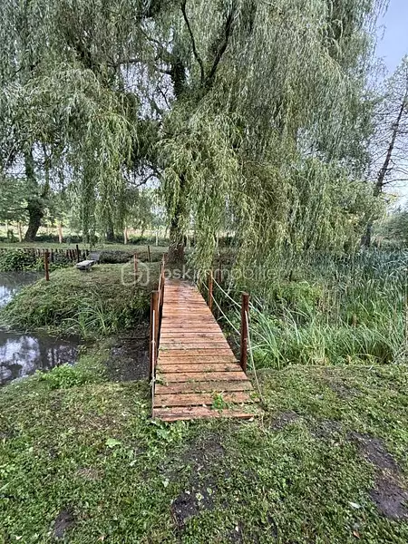 Étang de pêche à Le Grand-Lucé