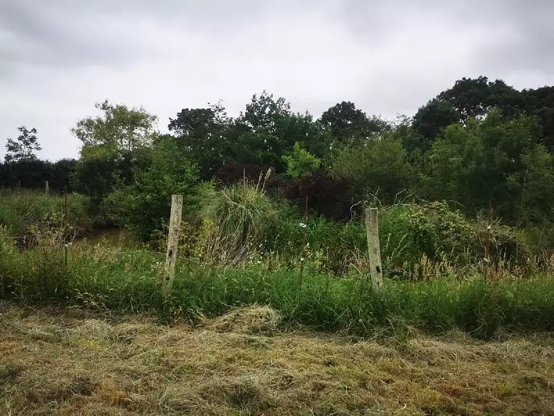 Étang d'agrément à Talmont-Saint-Hilaire — photo 2