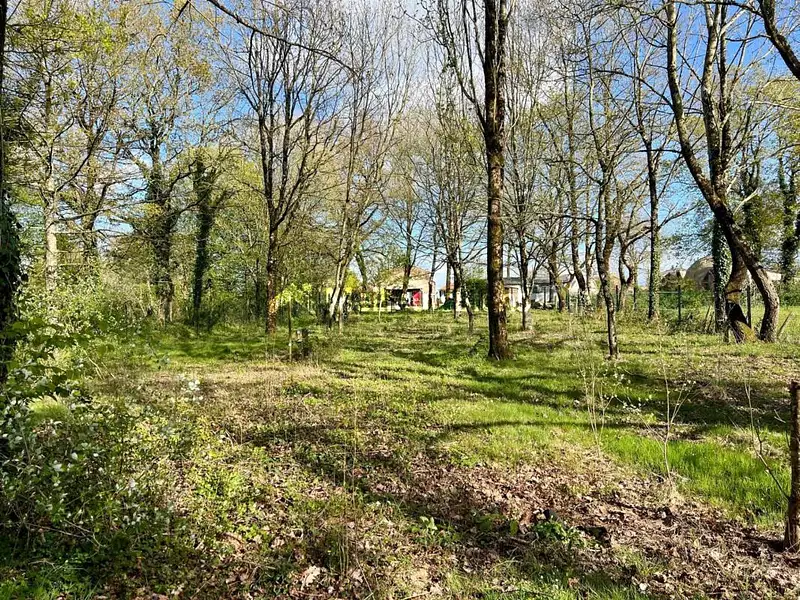 Étang d'agrément à Aizenay — photo 3