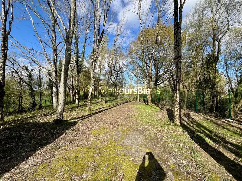 Étang d'agrément à Aizenay — photo 2