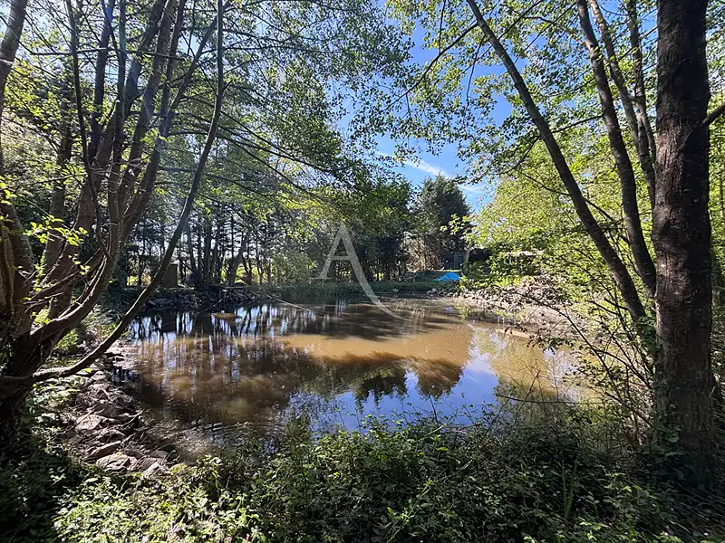 Étang de pêche à Château-Gontier-sur-Mayenne — photo 4
