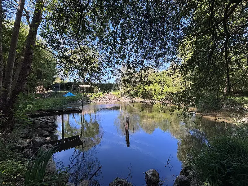 Étang de pêche à Château-Gontier-sur-Mayenne — photo 5
