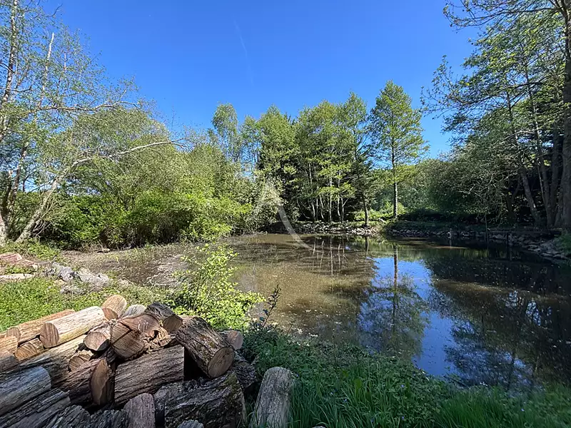 Étang de pêche à Château-Gontier-sur-Mayenne — photo 2