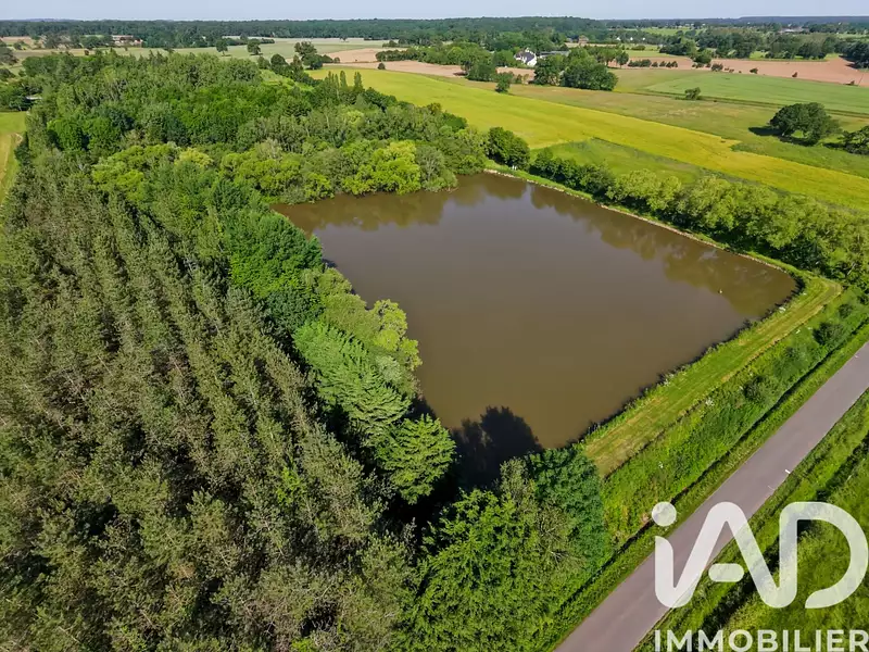 Étang de chasse de 1,5 ha à Montsûrs