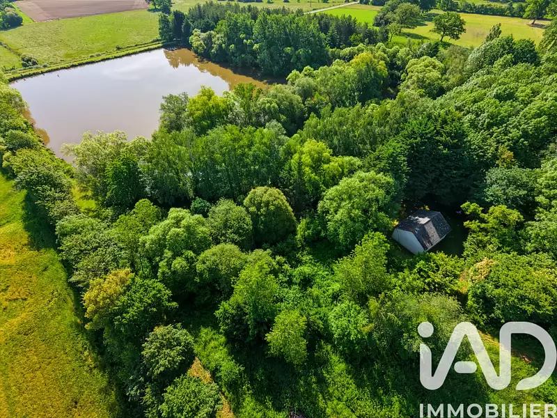 Étang de chasse de 1,5 ha à Montsûrs — photo 2