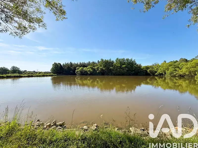 Étang de chasse de 1,5 ha à Montsûrs — photo 4