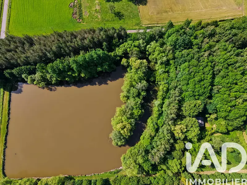 Étang de chasse de 1,5 ha à Montsûrs — photo 3