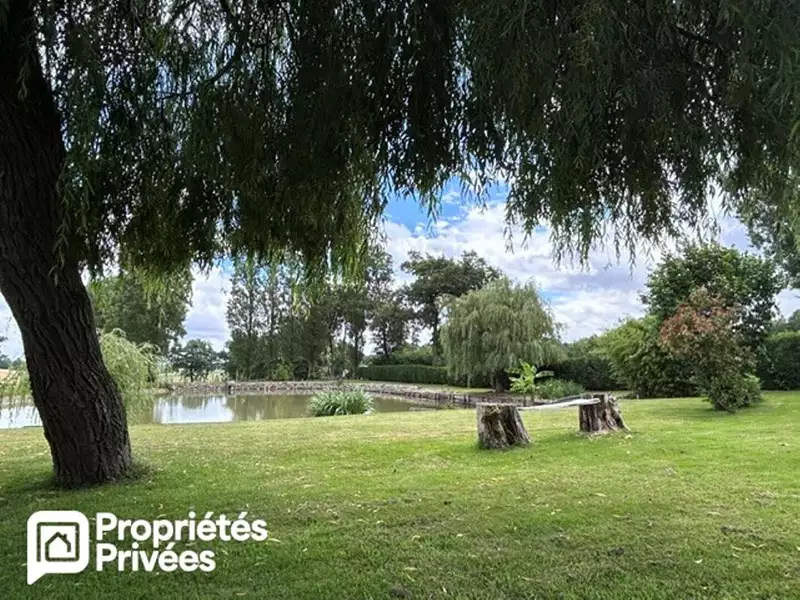 Étang de pêche à Montigné-le-Brillant — photo 3
