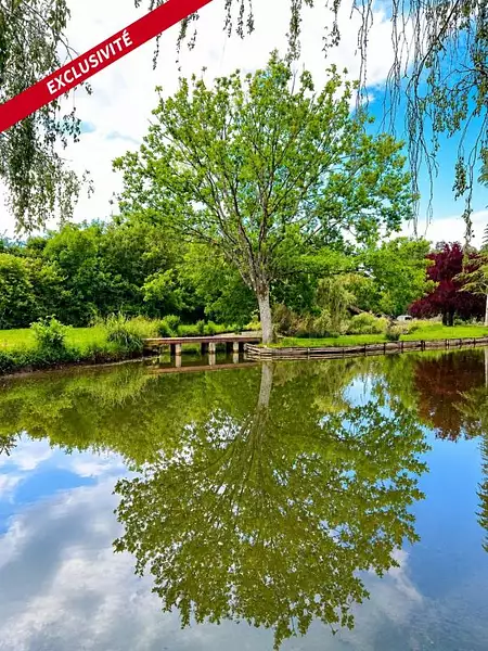 Étang de pêche à Neuvillalais