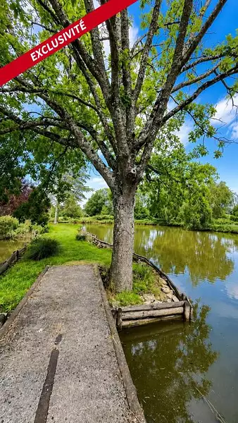 Étang de pêche à Neuvillalais — photo 4