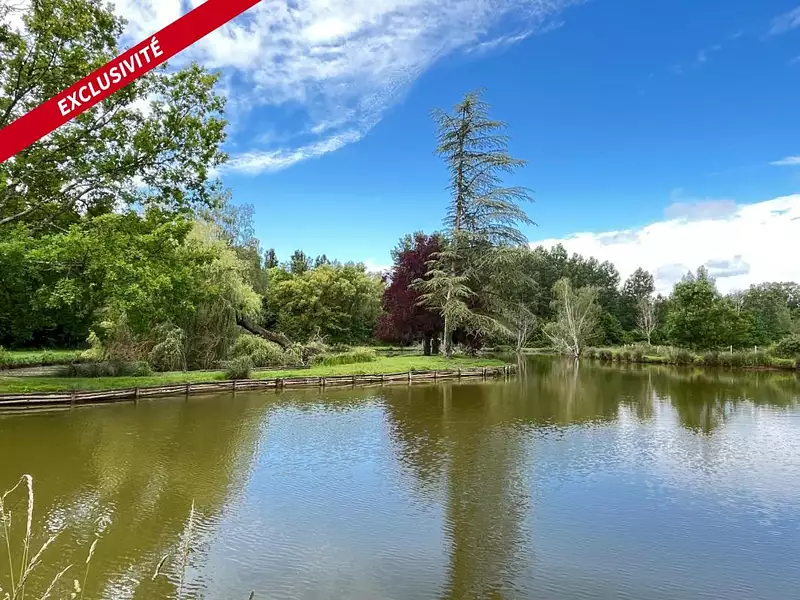 Fishing lake, 0.6 ha with islands and pontoons in Pays de la Loire — photo 4